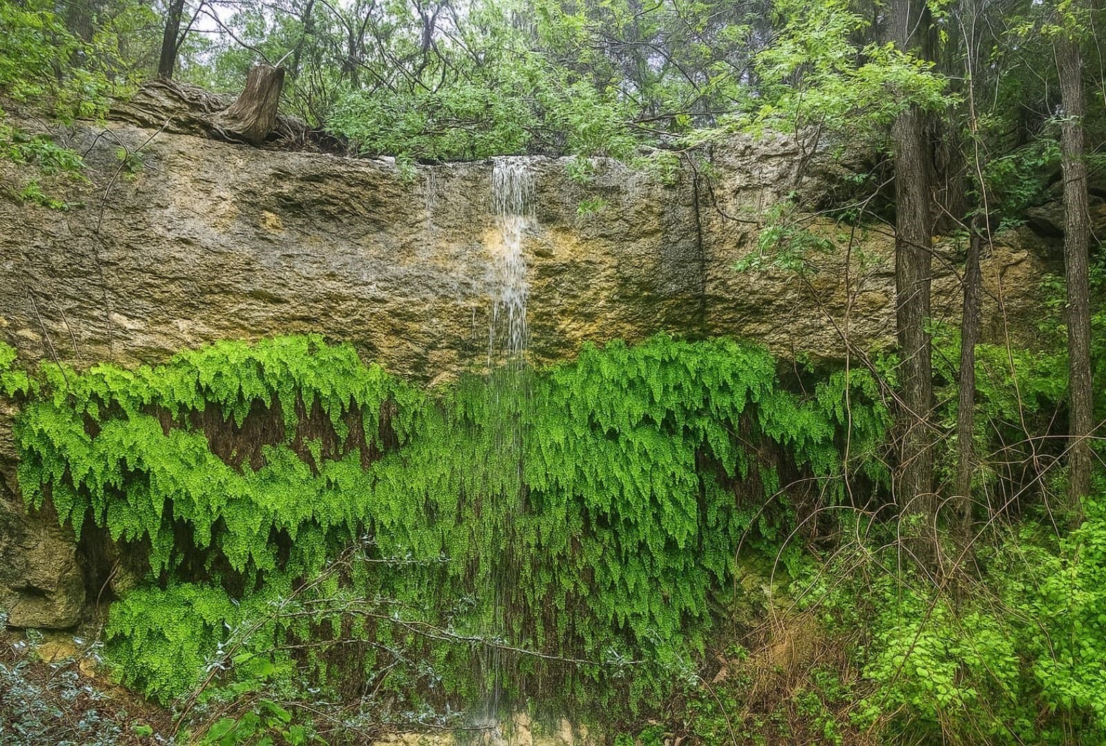 20 acres in Travis County featured view