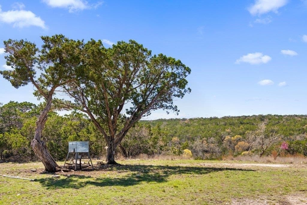 53.94 acres in Kendall County - photo 6