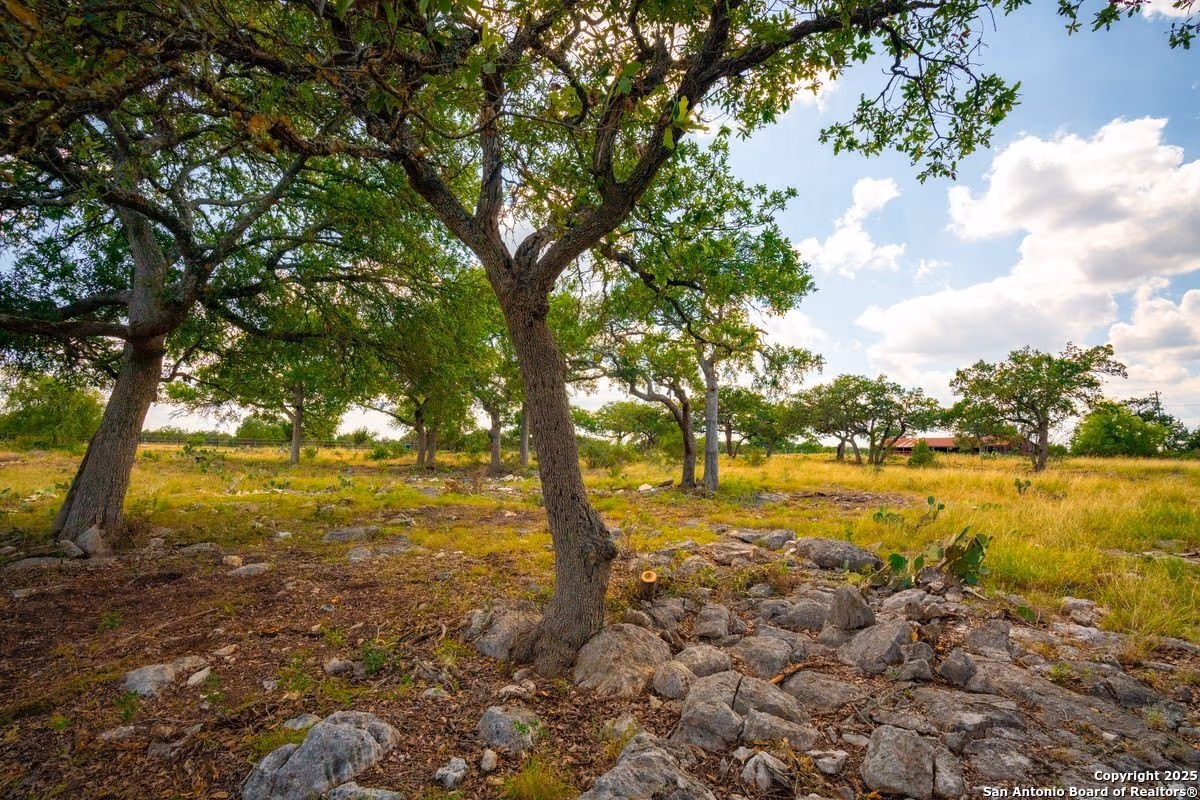 125 Acres in Kendall County