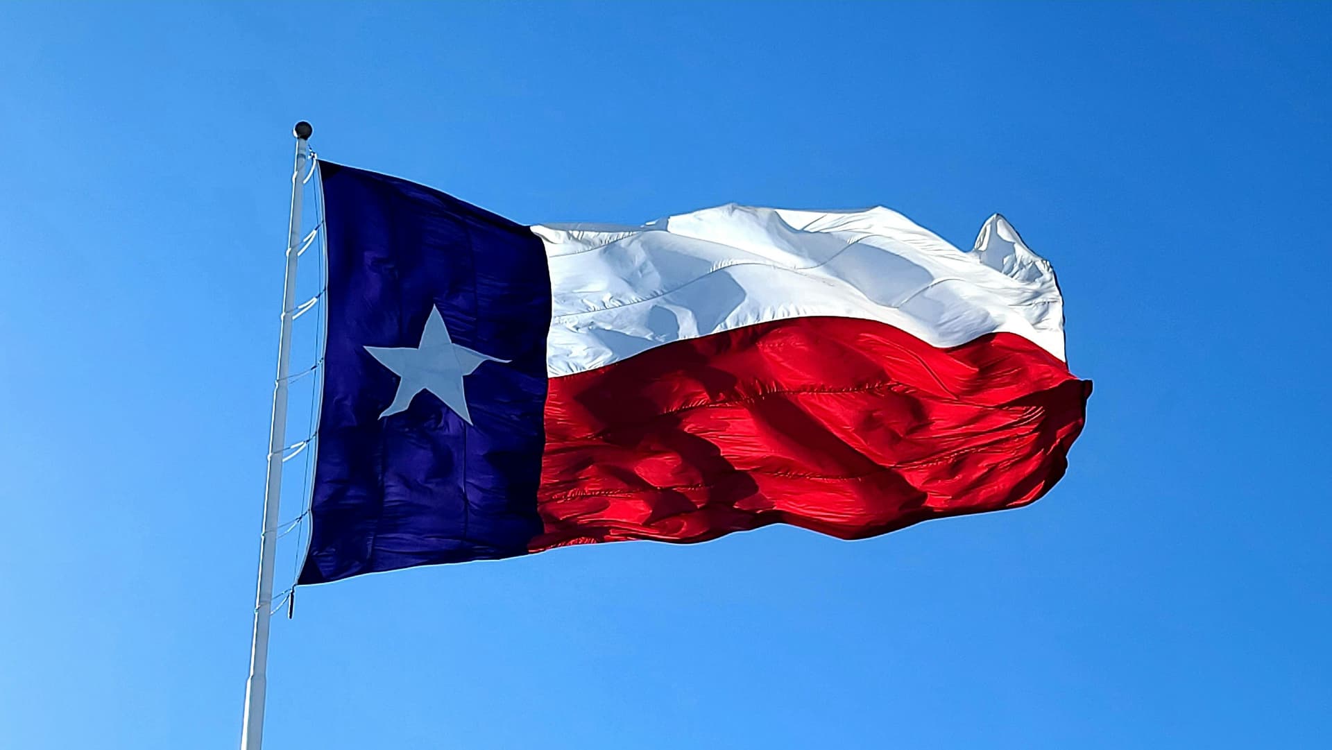  Texas flag waving against a clear blue sky, representing statewide efforts to protect livestock from screwworm