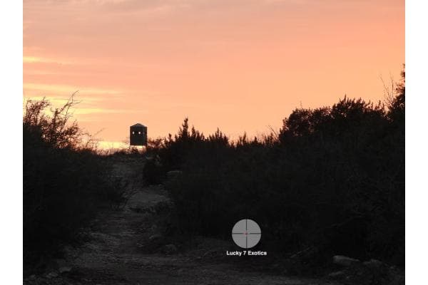 Lucky 7 Exotic Ranch