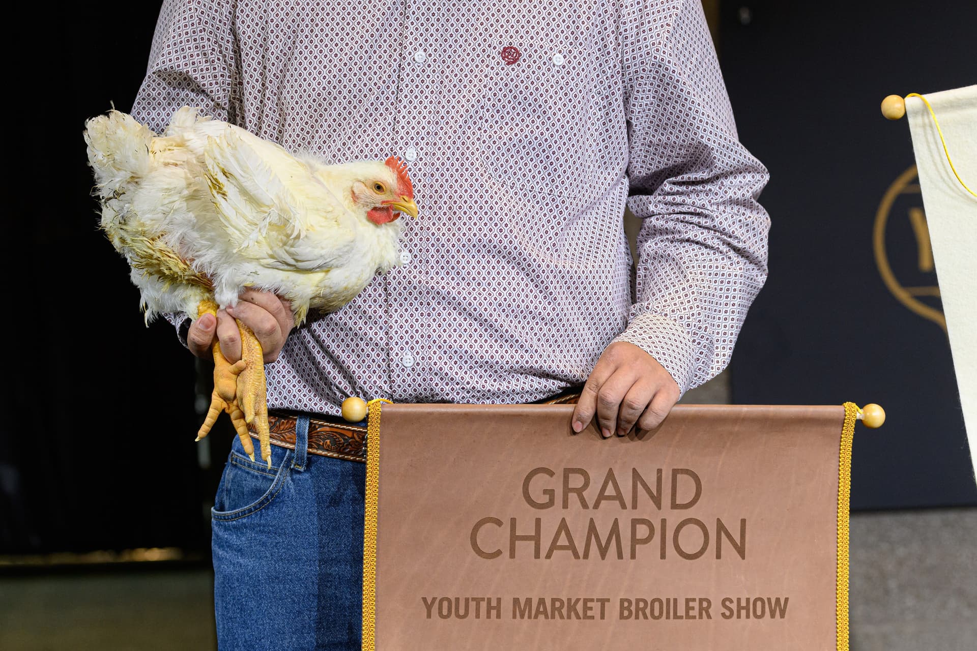 Grand Champion chicken at the State Fair of Texas Youth Market Broiler Show.