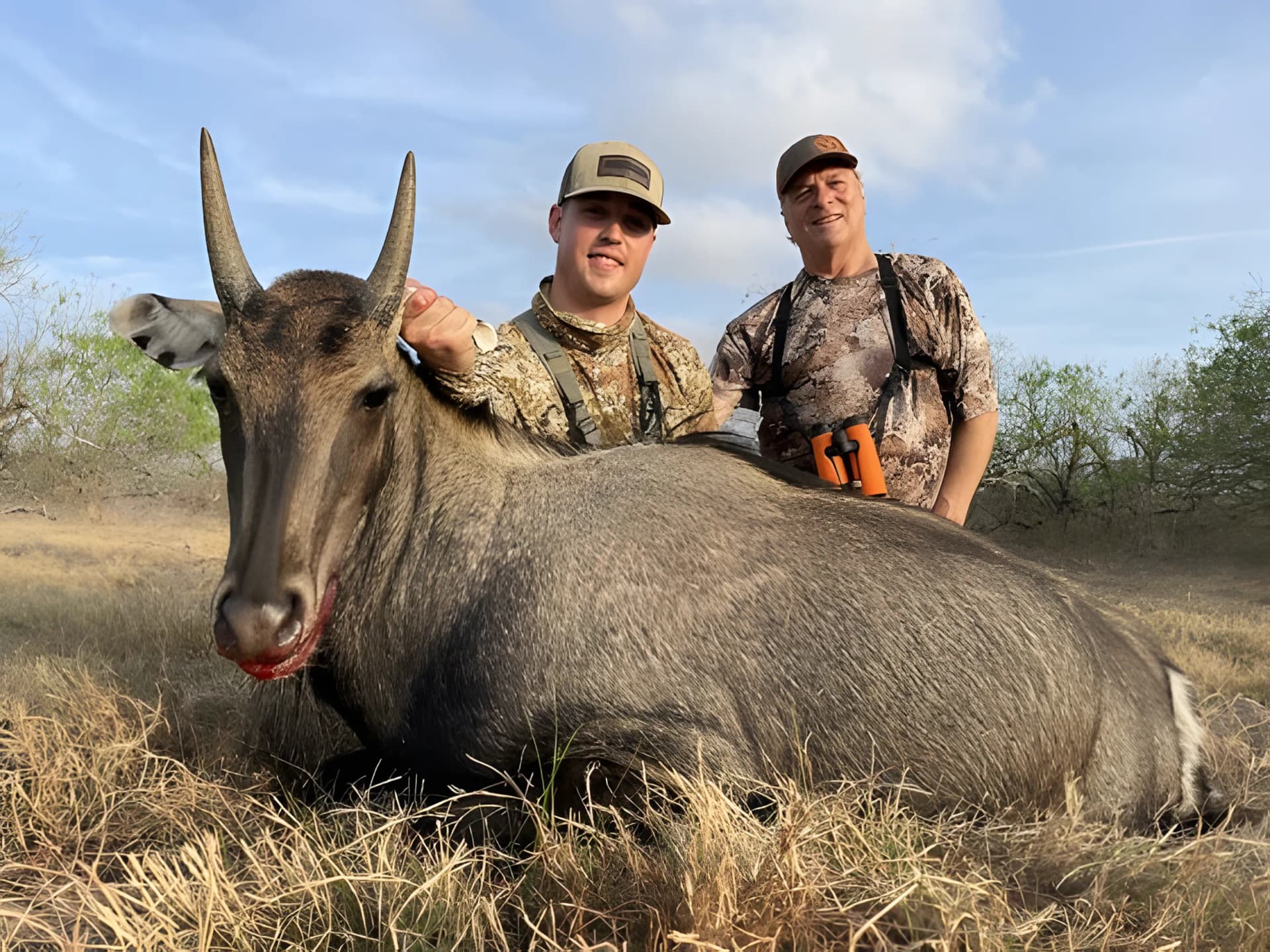 Two hunters with a harvested nilgai, reflecting family hunting traditions and wildlife management on Texas land