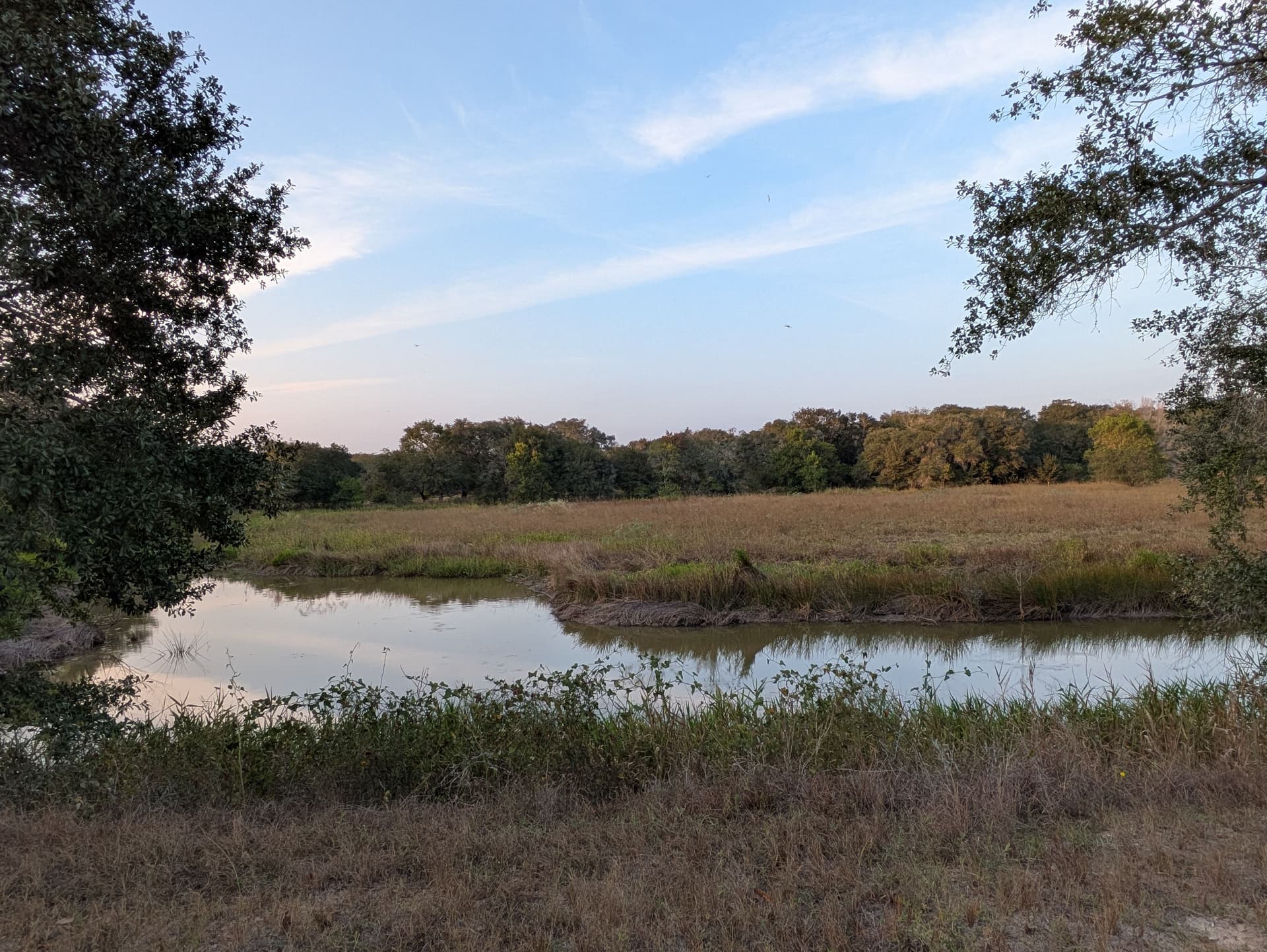 Texas ranch pond surrounded by native pasture and oak trees, supporting agricultural land management