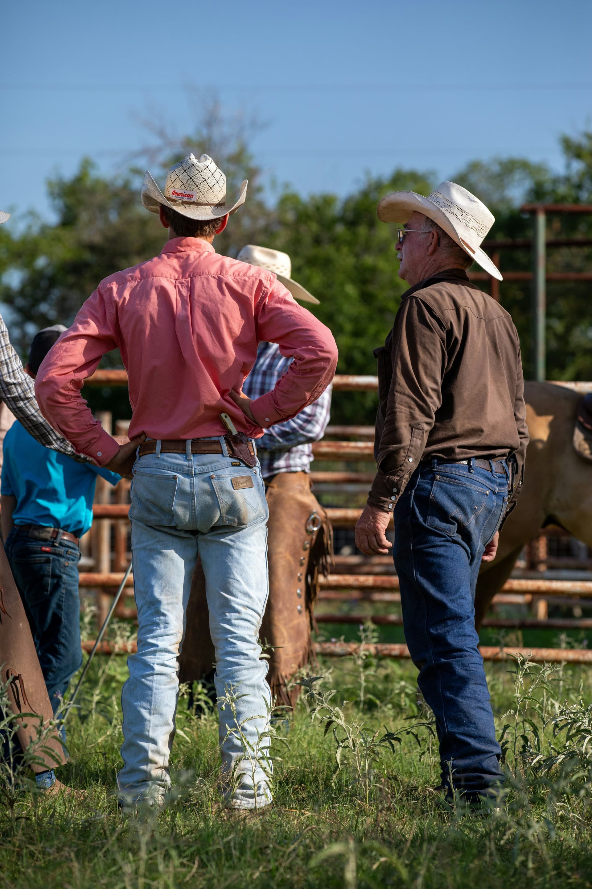 Texas ranchers gathered at cattle pens during livestock handling on a working ranch