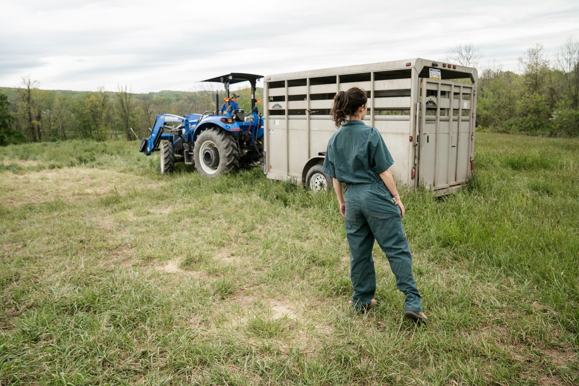 Rural veterinary worker with a livestock trailer and tractor in a pasture
