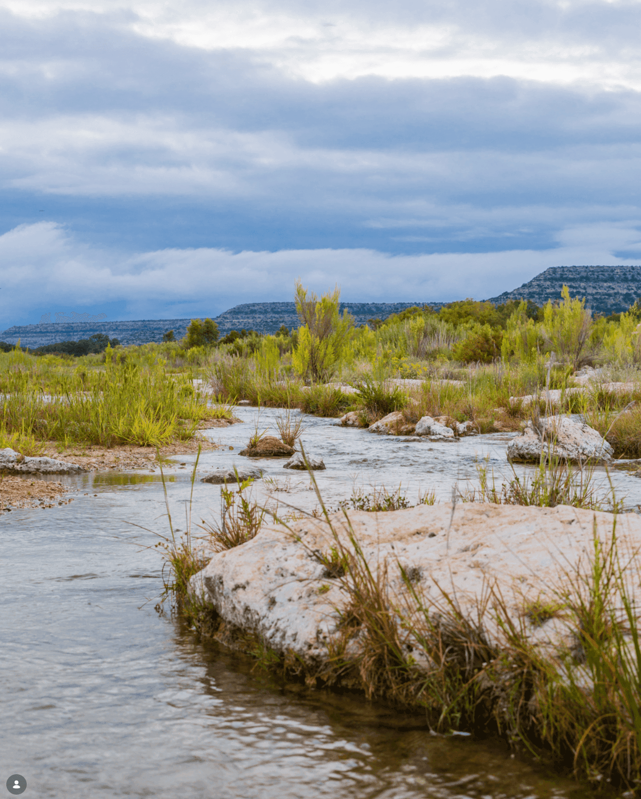 Land Stewardship with Allison Ryan of Explore Ranches