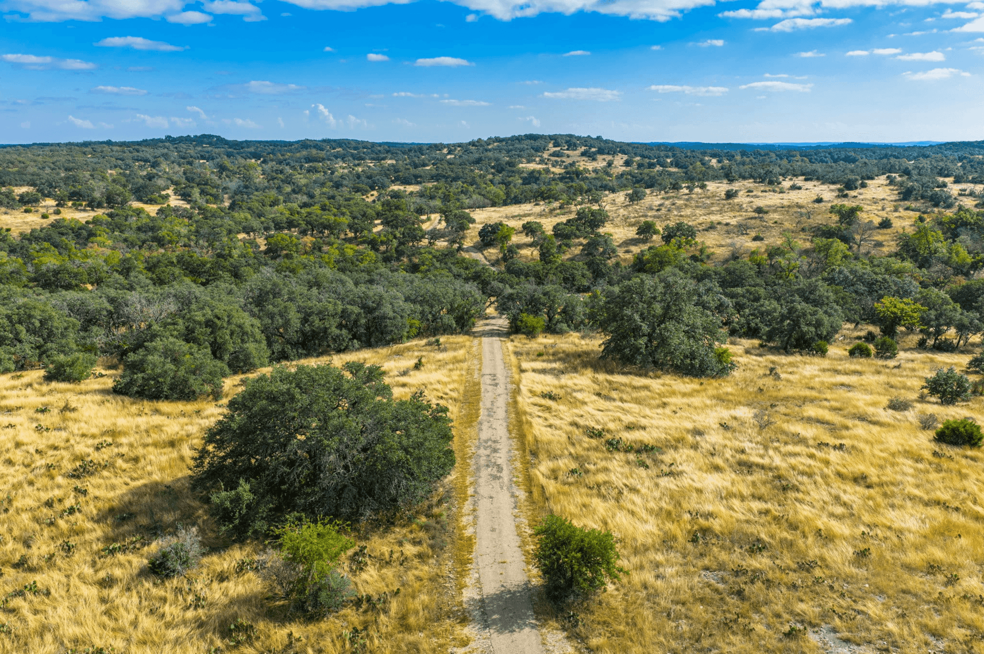 ranch road in Texas