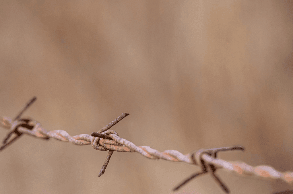 How Barbed Wire Came to Texas