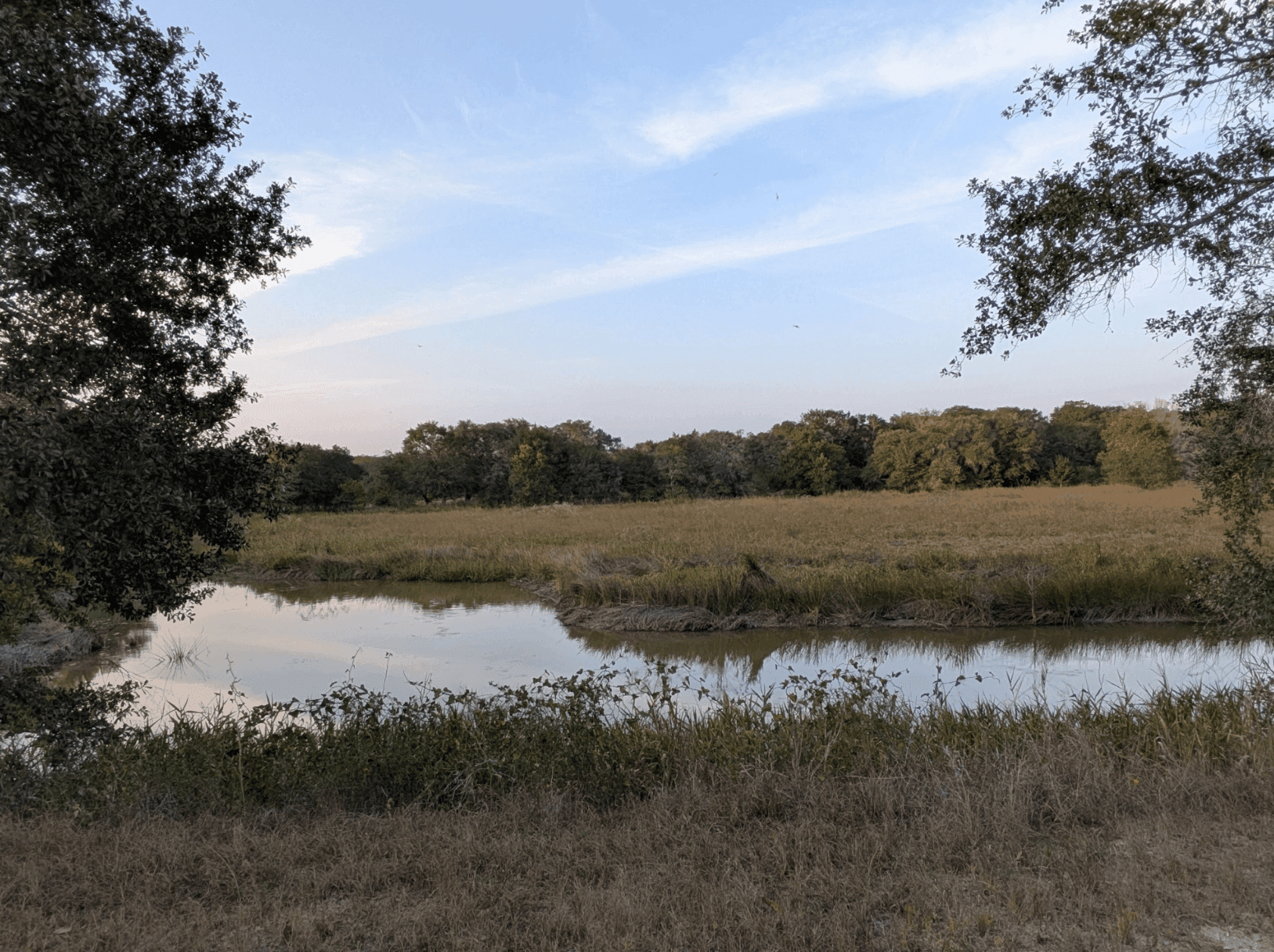 5 Things to Understand About Water Before You Buy Texas Land