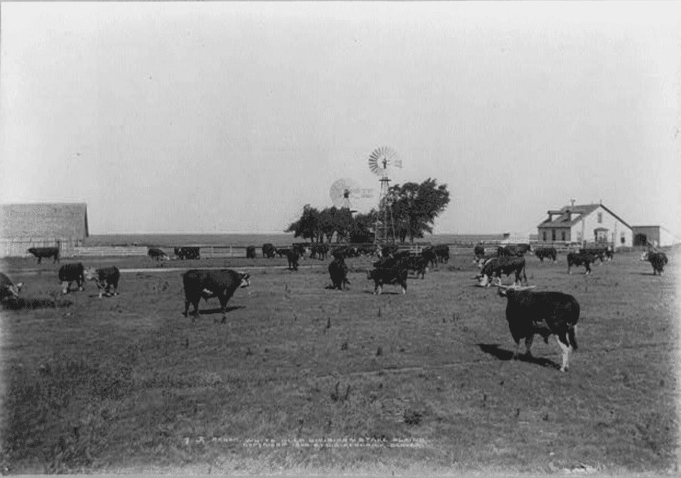 Historic view of the JA Ranch White Deer Division on the Staked Plains of the Texas Panhandle