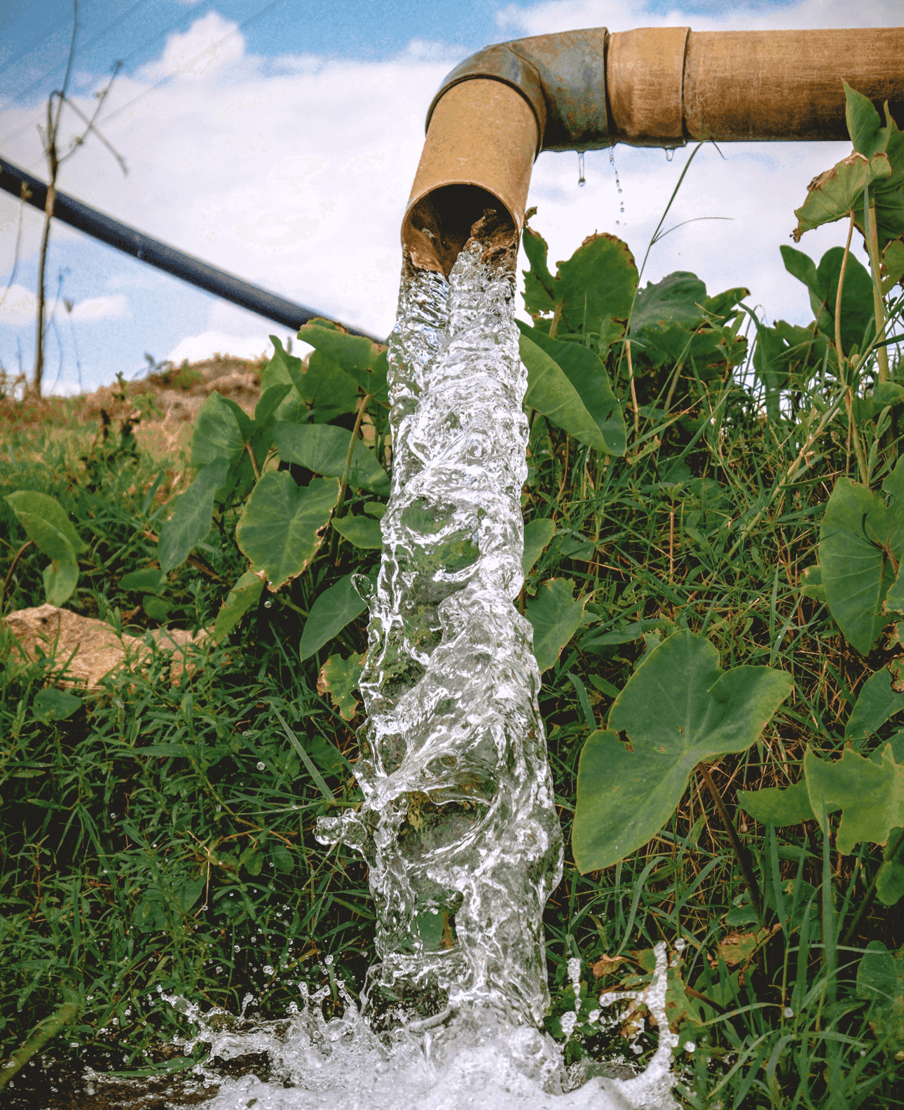 Fresh groundwater flowing from a ranch well pipe, illustrating water well production and agricultural water supply