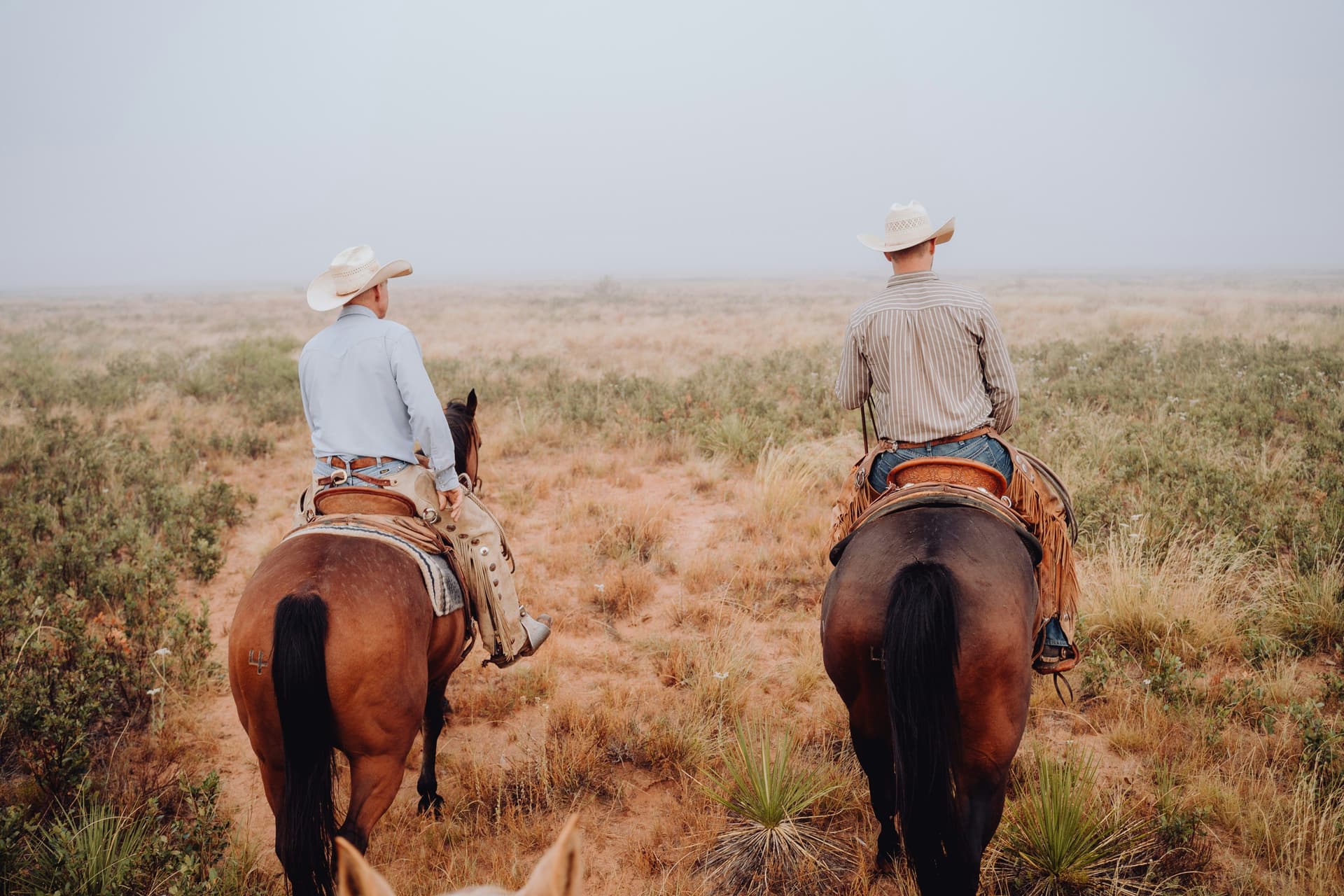 Two cowboy-hatted riders on horseback crossing open ranchland
